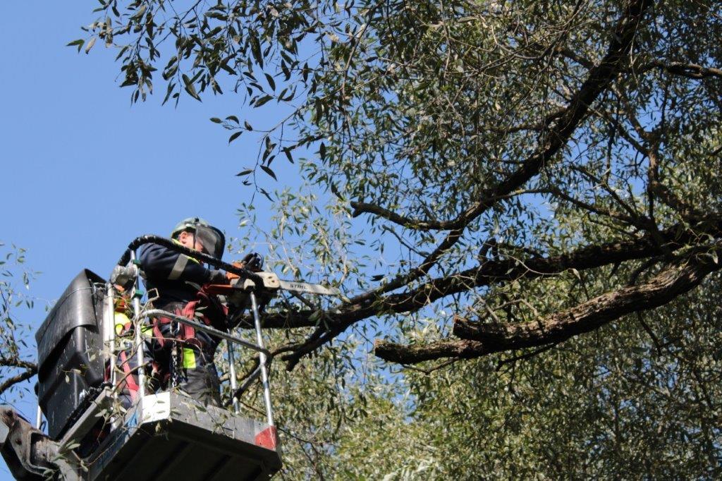 20.09.2023 Учения в энергосистеме Смоленской области